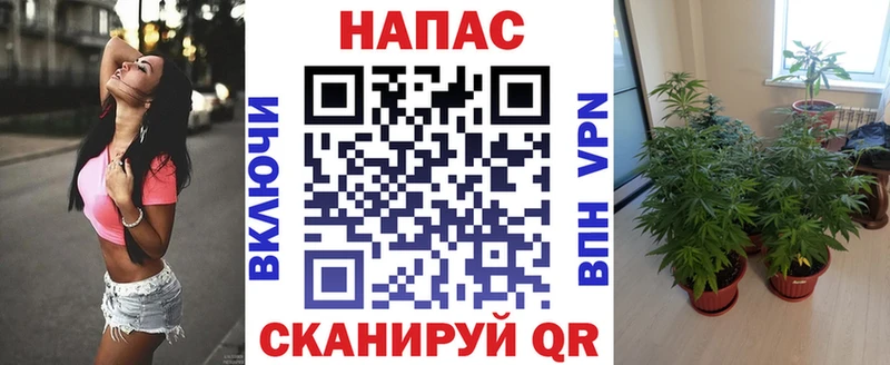 Сколько стоит Буинск ГАШ A PVP Меф