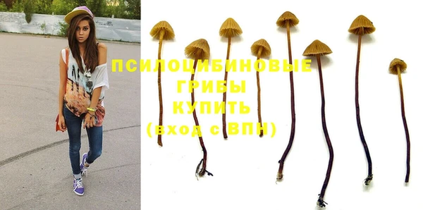 тгк Верея