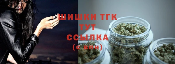 тгк Верея